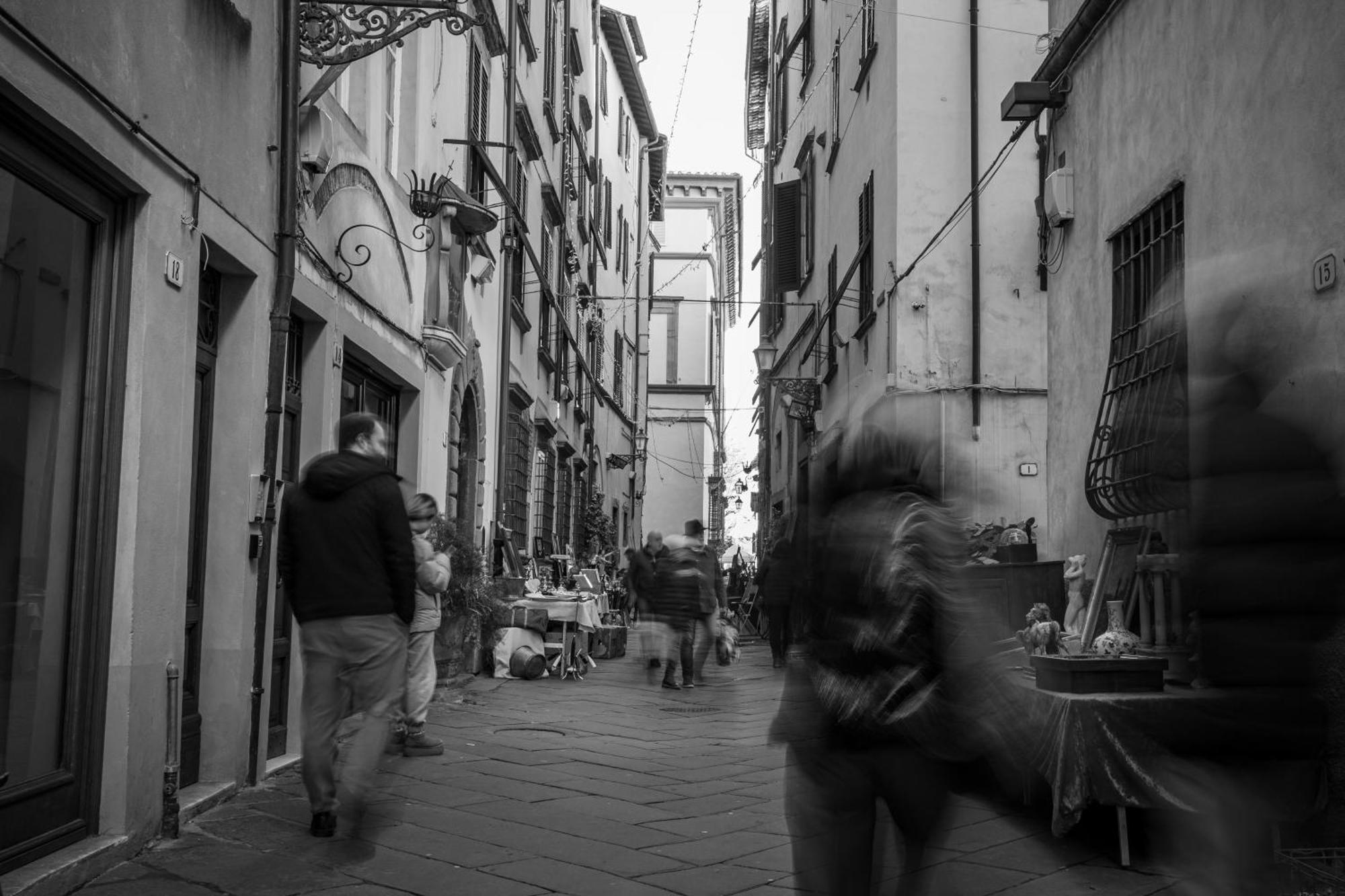 Appartamento Bilocale Economico, In Pieno Centro A Lucca Esterno foto